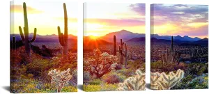 Biuteawal 3 Piece Saguaro Cactus Canvas Wall Art Great Sunset at Arizona Sonoran Desert Landscape Picture Painting Print Nature Southwest Artwork Decor for Home Living Room Ready to Hang