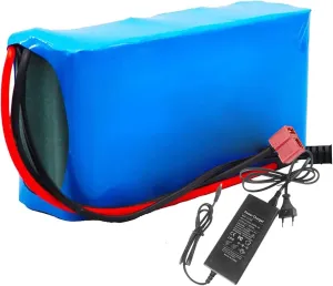 E-Bike Battery 24V 6000mAh Waterproof Battery Pack for 100W 250W 350W 500W Motor Electric Bicycle Motorcycle Scooter with Charger