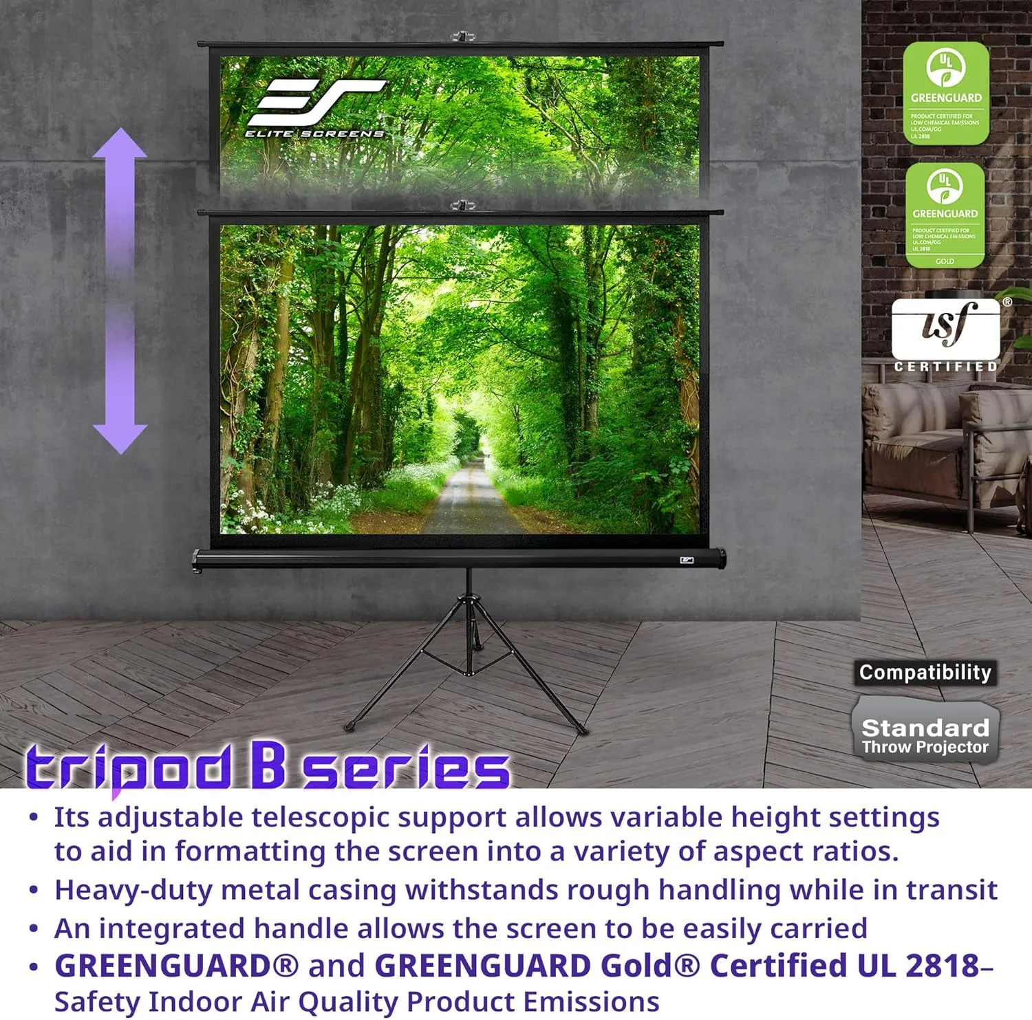 Elite Screens Tripod B, 113-INCH 1:1, Lightweight Pull Up Foldable Stand, Manual, Movie Home Theater Projector Screen, 4K / 8K Ultra HDR 3D Ready, 2-YEAR WARRANTY, T113SB