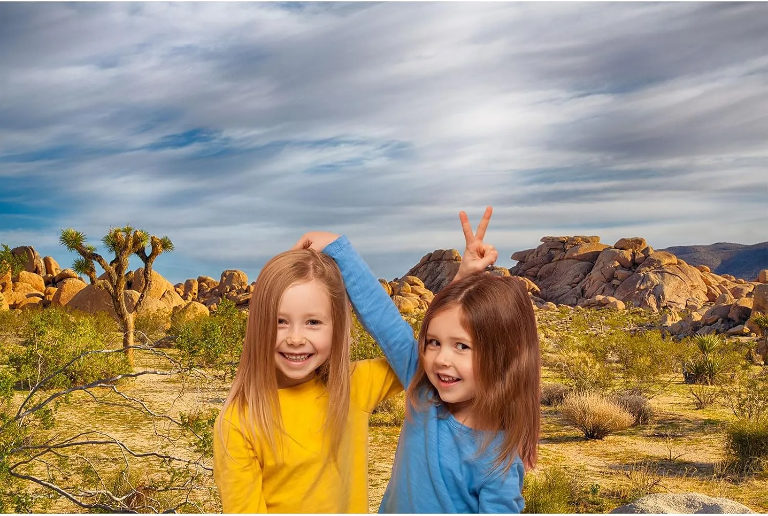 Joshua Tree National Park Backdrop Western Sky Sandstone Desert Mountain Arid Barren Cactus Natural Scenery Photography Background Desert Scenery Portrait Photo Studio Props Decor 10x6.5ft