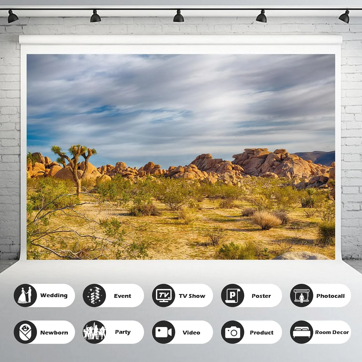 Joshua Tree National Park Backdrop Western Sky Sandstone Desert Mountain Arid Barren Cactus Natural Scenery Photography Background Desert Scenery Portrait Photo Studio Props Decor 10x6.5ft