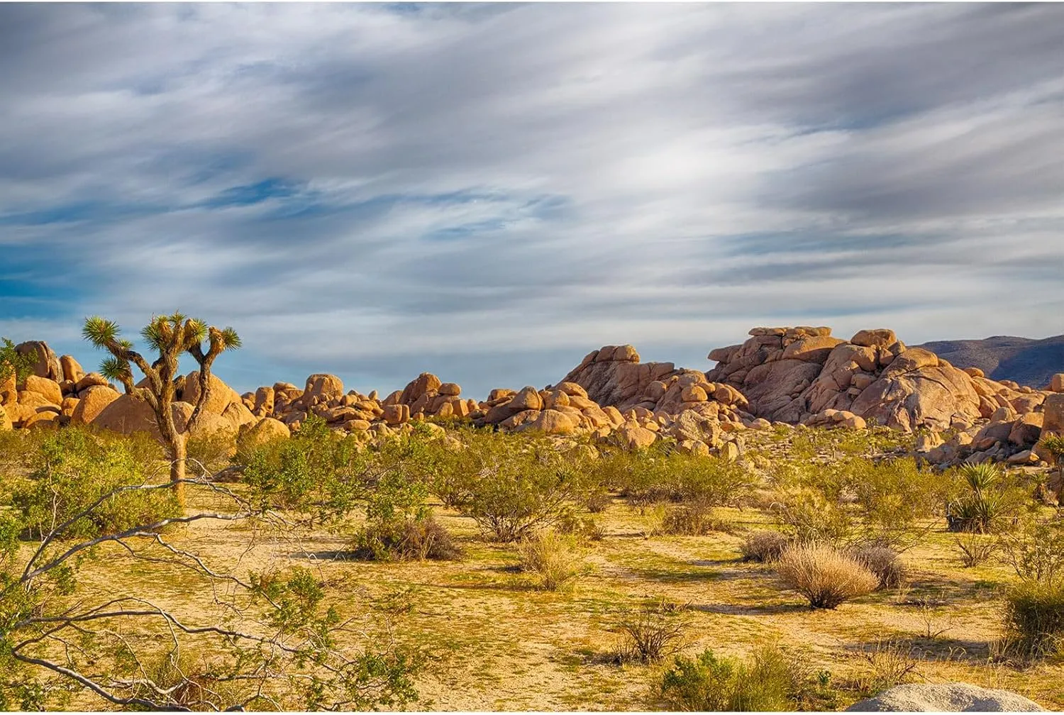 Joshua Tree National Park Backdrop Western Sky Sandstone Desert Mountain Arid Barren Cactus Natural Scenery Photography Background Desert Scenery Portrait Photo Studio Props Decor 10x6.5ft