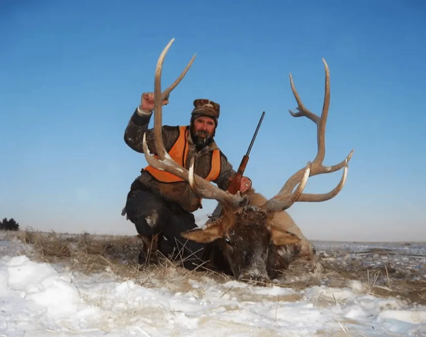 Lone Wolf Guide Services - Guided Elk Hunt (3.5day)