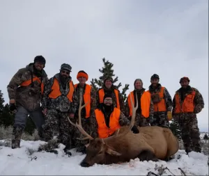 Lone Wolf Guide Services - Guided Elk Hunt (3.5day)