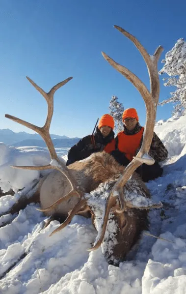 Lone Wolf Guide Services - Guided Elk Hunt (3.5day)