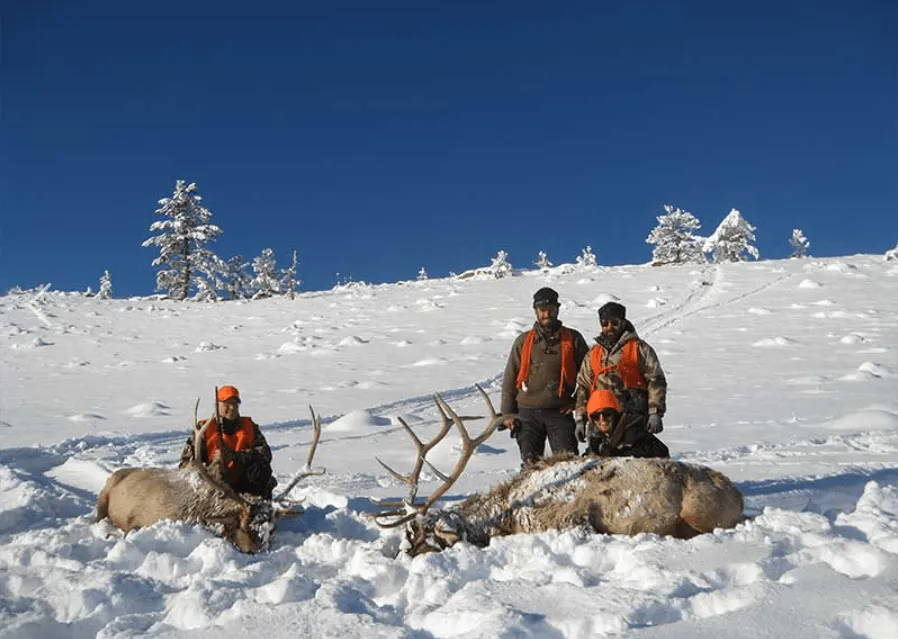 Lone Wolf Guide Services - Guided Elk Hunt (3.5day)