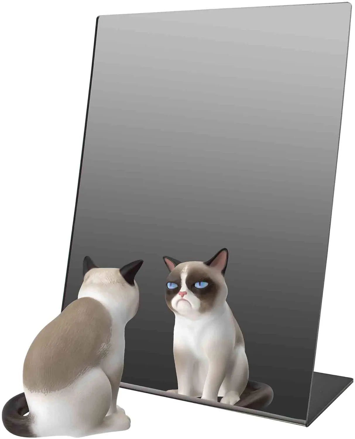 Marketing Holders 6 Pack Acrylic Mirror 9" x 12" Slant Back Reflective Portable Lucite Stand for Dressing Rooms Makeup Vanities and Retail Jewelry Piercing Counters