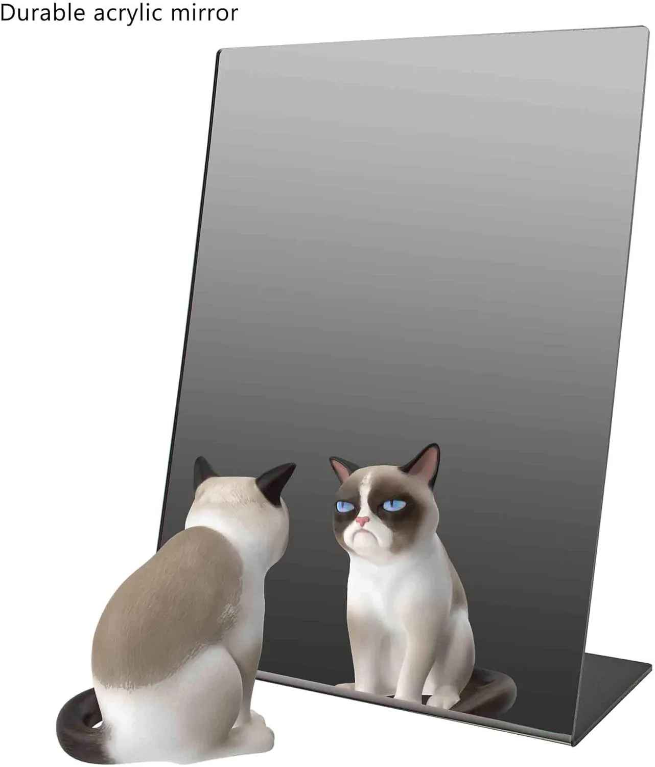 Marketing Holders 6 Pack Acrylic Mirror 9" x 12" Slant Back Reflective Portable Lucite Stand for Dressing Rooms Makeup Vanities and Retail Jewelry Piercing Counters