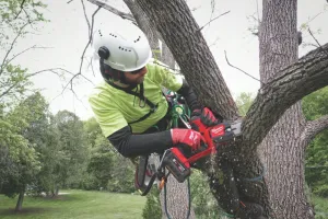 Milwaukee M18 FHS20-0 FUEL 18V 2 x 5.5Ah Li-Ion RedLithium High Output Brushless Cordless 20cm Hatchet Pruning Saw