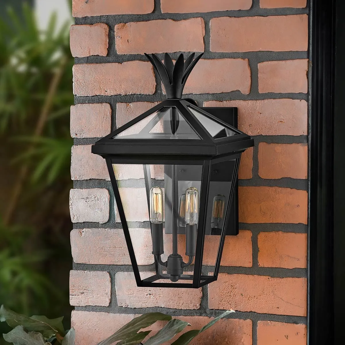 Palma 2lt Medium Wall Lantern | Black