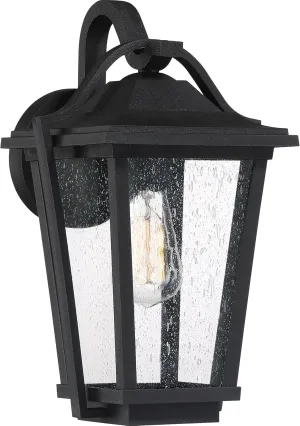 Quoizel Darius Outdoor Wall Lantern, 14.75 Inch 1-Light Earth Black Vintage Wall Sconce, Decorative Wall Light with Clear Seeded Glass, 100W, Outside Lights for Patio, Porch, Garage or Front Door