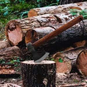 Raider's Unadorned Throwing Axe with Beechwood Handle