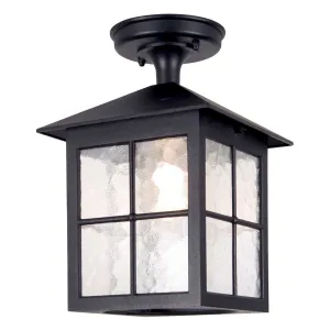 Winchester 1 Light Porch Lantern | Black